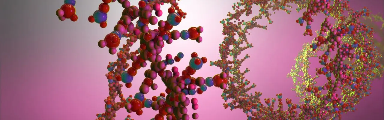 How to Use Non-Human Primates in Gene Therapy Safety Evaluation How to Use Non-Human Primates in Gene Therapy Safety Evaluation